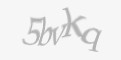 Захисний код