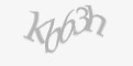Захисний код