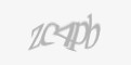 Захисний код