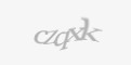 Захисний код